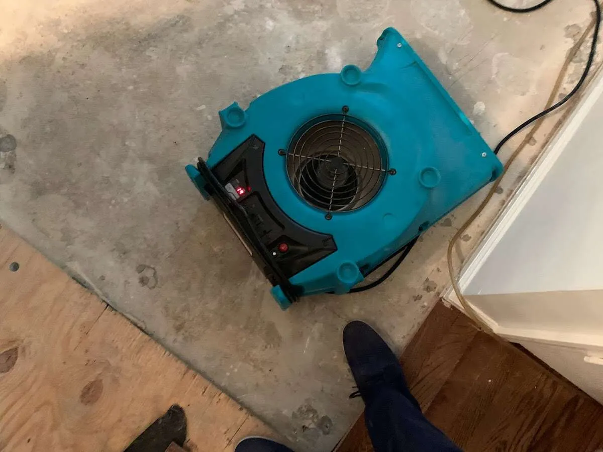 Air mover drying subfloor during Leak Detection & Repair in Hollywood